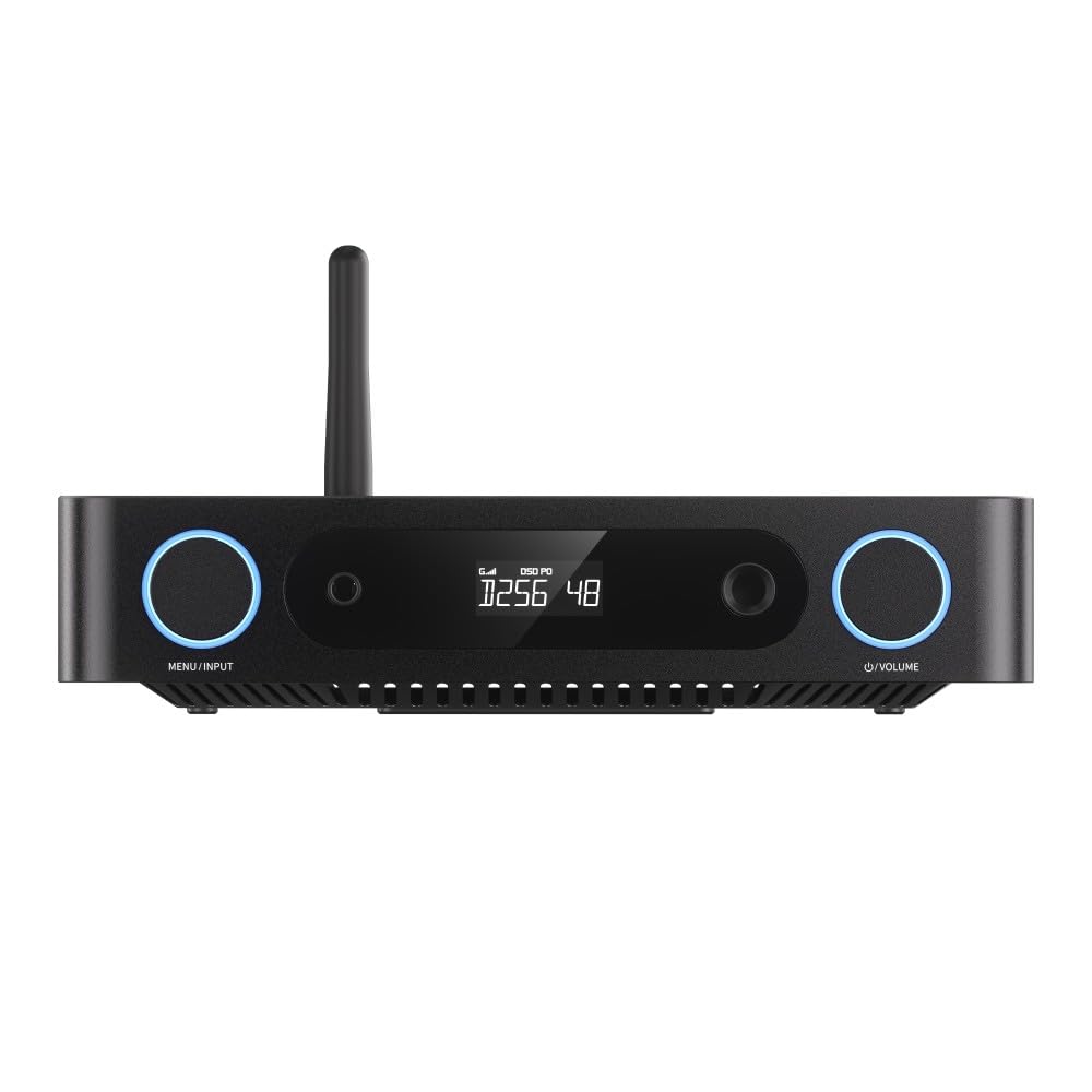 FIIO K13 R2R FIO-K13R2R [Ships from an Authorized Japanese Retailer, Includes Serial Number] Headphone Amplifier with Built-in USB DAC (Black)