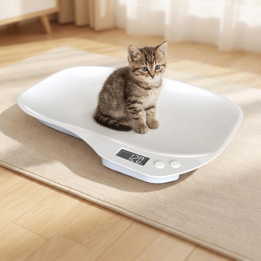 High Precision Newborn Pet Scale Auto Shut Off Small Animal Scale Pet Weighing