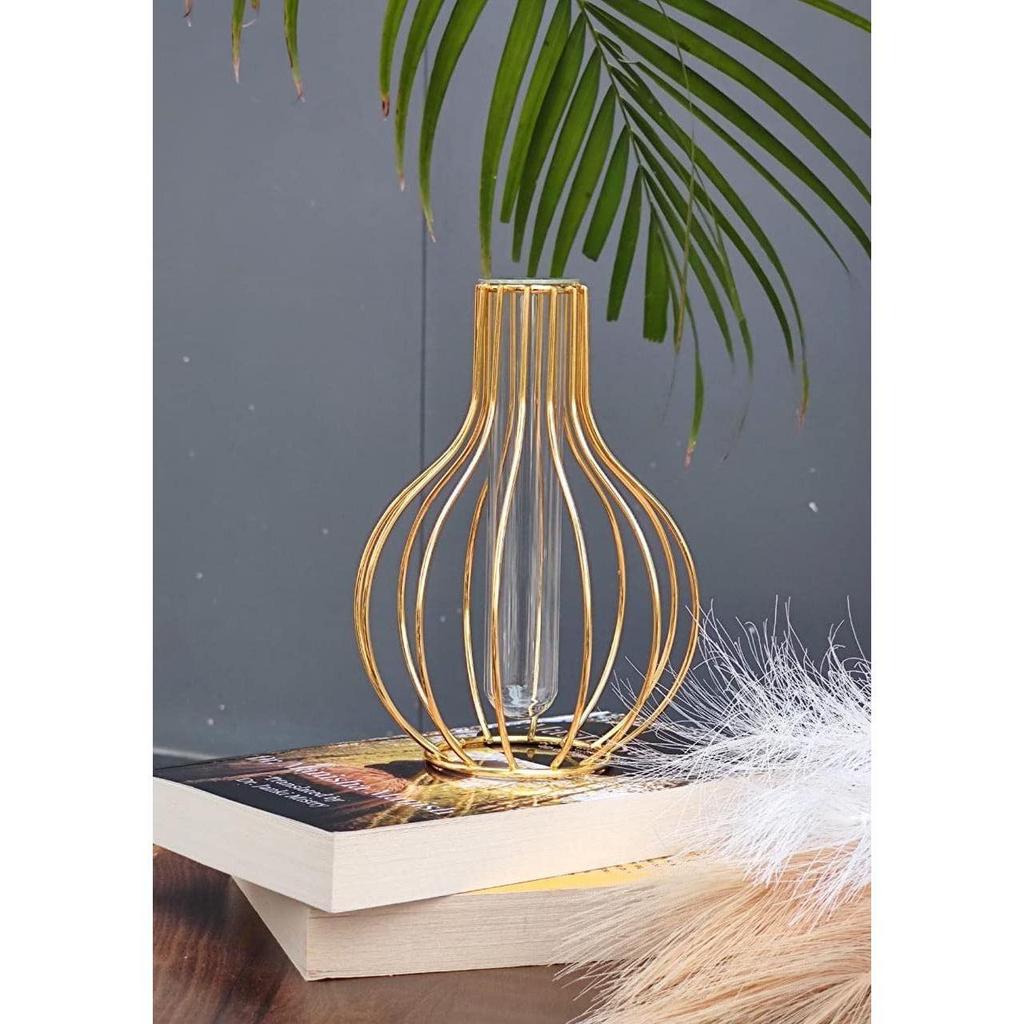 1 Pcs Metal Vase for Home Decor, Living Room, Bedroom, Office, Table Centerpiece | Propagation Station with Metal Frame Test Tube Glass Items