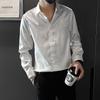 Spring Autumn New Fashion Printing POLO Collar Long Sleeve Blouse Men's Clothing Versatile Loose Thin Style Y2K Shirts