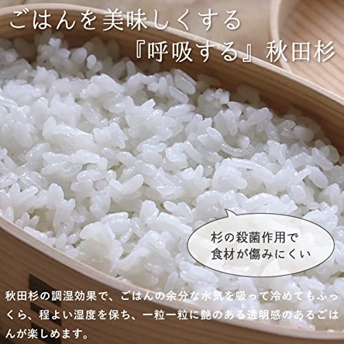 Akita Odate Ryobian Unpainted Magewappa Koban Bento 480ml (Small)