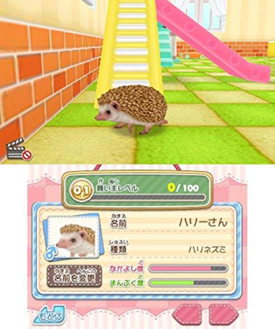 Live with Cute Cats Mini Animals 3DS Pets! Dogs, & -