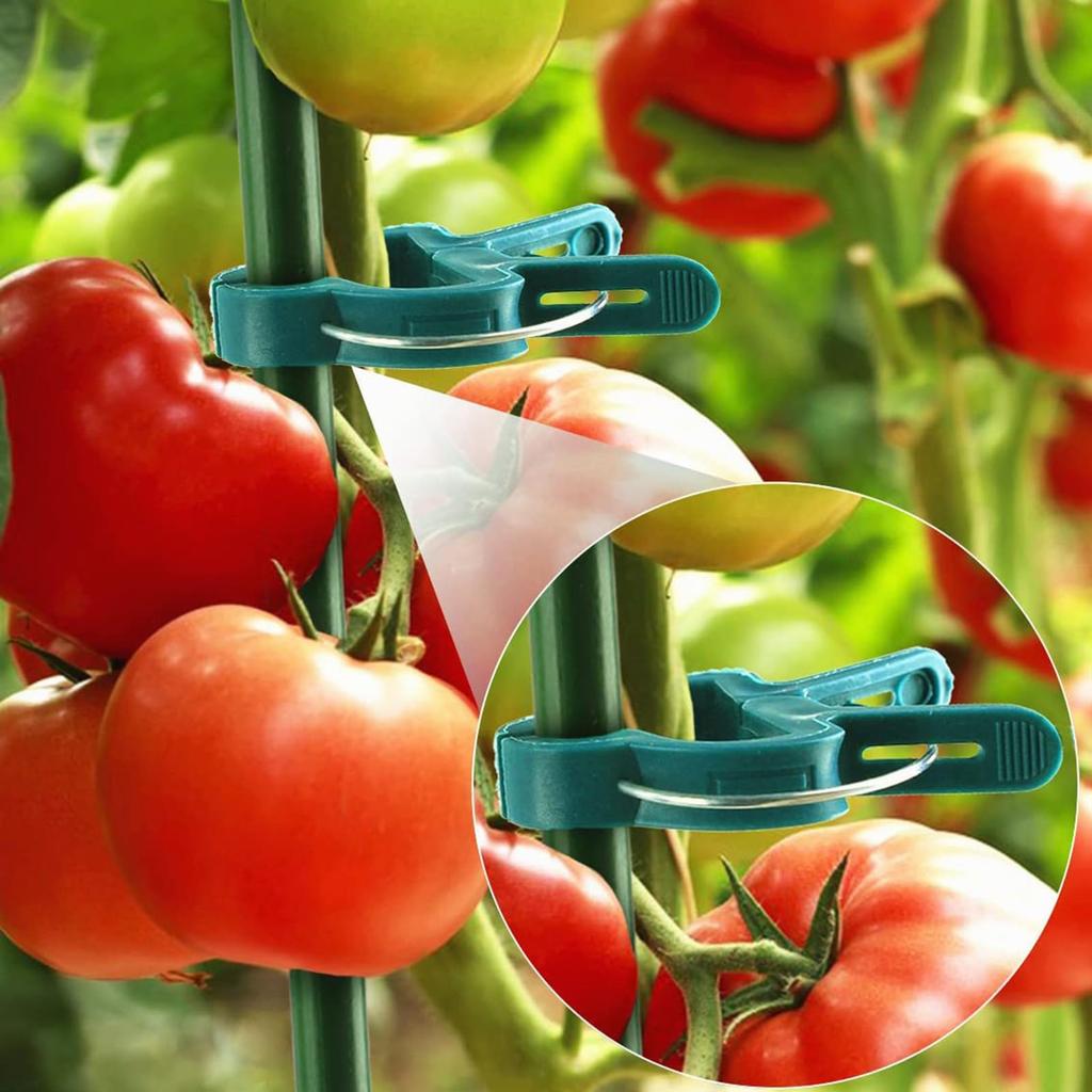20/100pcs Reusable Greenhouse Bracket Plant Fixed Clips Fixing Climbing Tomatoes Cucumber Climbing Plants Stems Fastener Support