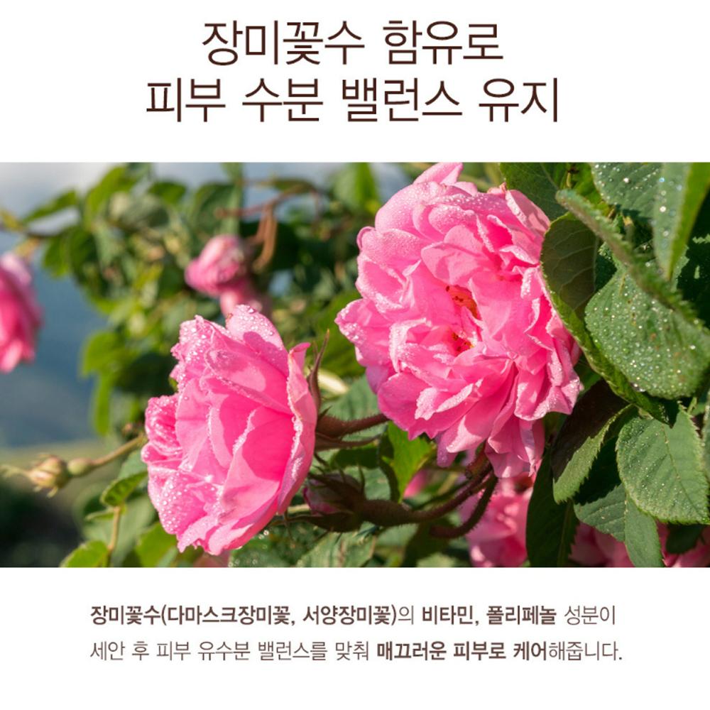 KWAILNARA Cleansing Story Rose Energy Cleansing Foam 300ml