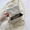 Womens Trendy Square Chain Shoulder Bag With Embroidered Lines For Daily Use
