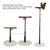 Parakeet Bird Play Stand Bird Perch Parrot Stand Bird Rack Bird Resting Place Height Adjustable 30cm-94cm