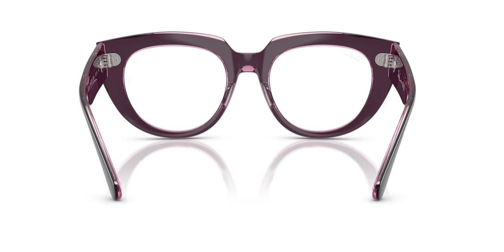 Sunglasses 0RX5586 Violet ON Transparent Pink 48 [Ray-Ban]