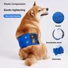 Breathable Dog Physiological Pants High Absorbing Leak-proof Pet Underwear Comfortable Washable Canine Hygiene Band Heat Season