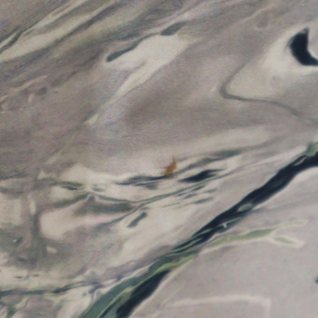 BURTON Rain jacket XS gray Hoodie Men's Used