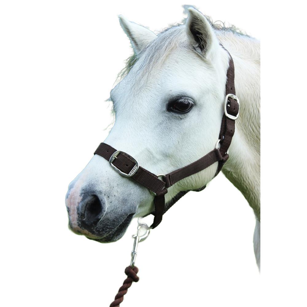 Gallop Horse Headcollar and Leadrope Set