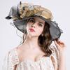 Hat Spring New UV Protection Organza Women's Fashion Hat Fashion Mesh Yarn Hat Big Brim Hat