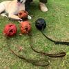 Hundetraining Leder Beißball