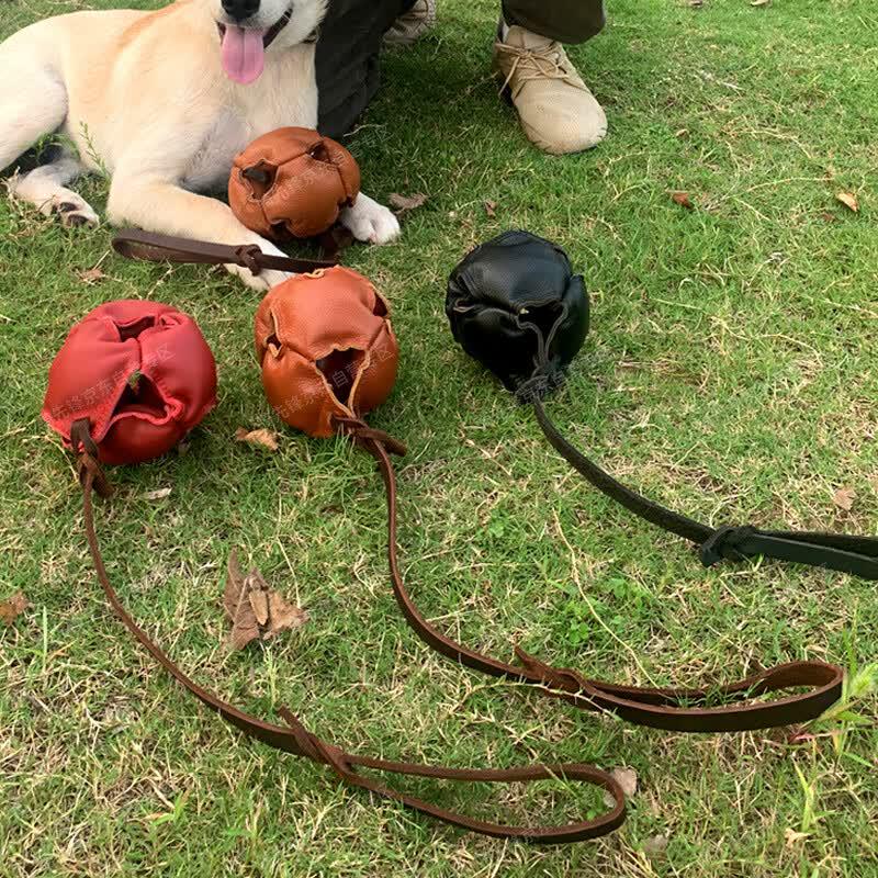 Hundetraining Leder Beißball