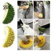 Cat Grooming Brush Self Groomer Wall Corner Durian Shape Face Massager Hair Remover Toy for Indoor Long Short Fur Cats Boredom Relief