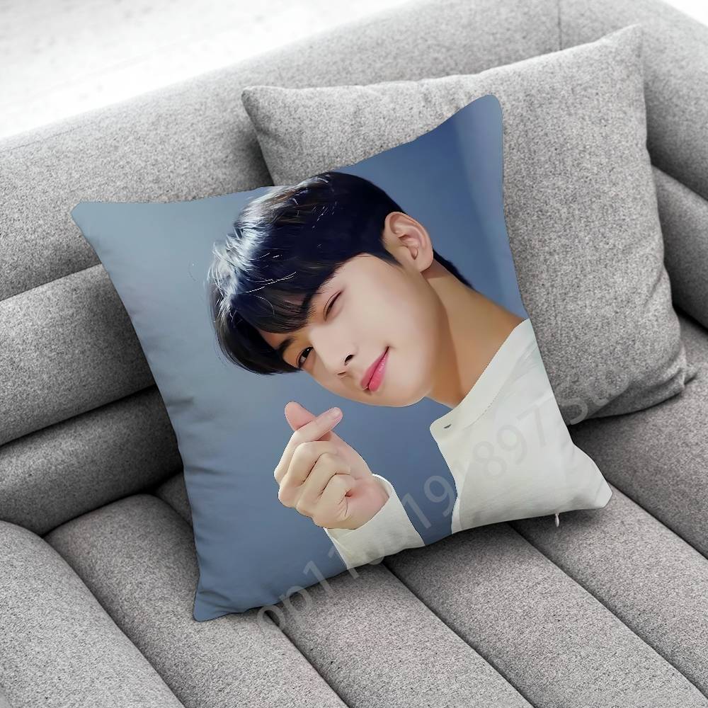 

C-Cha Eun woo EunWoo Throw Pillow Case For 45x45cm 40x40cm 55x55cm 50x50cm 30x30cm Square Car Pillowcase Shell 30cmx30cm