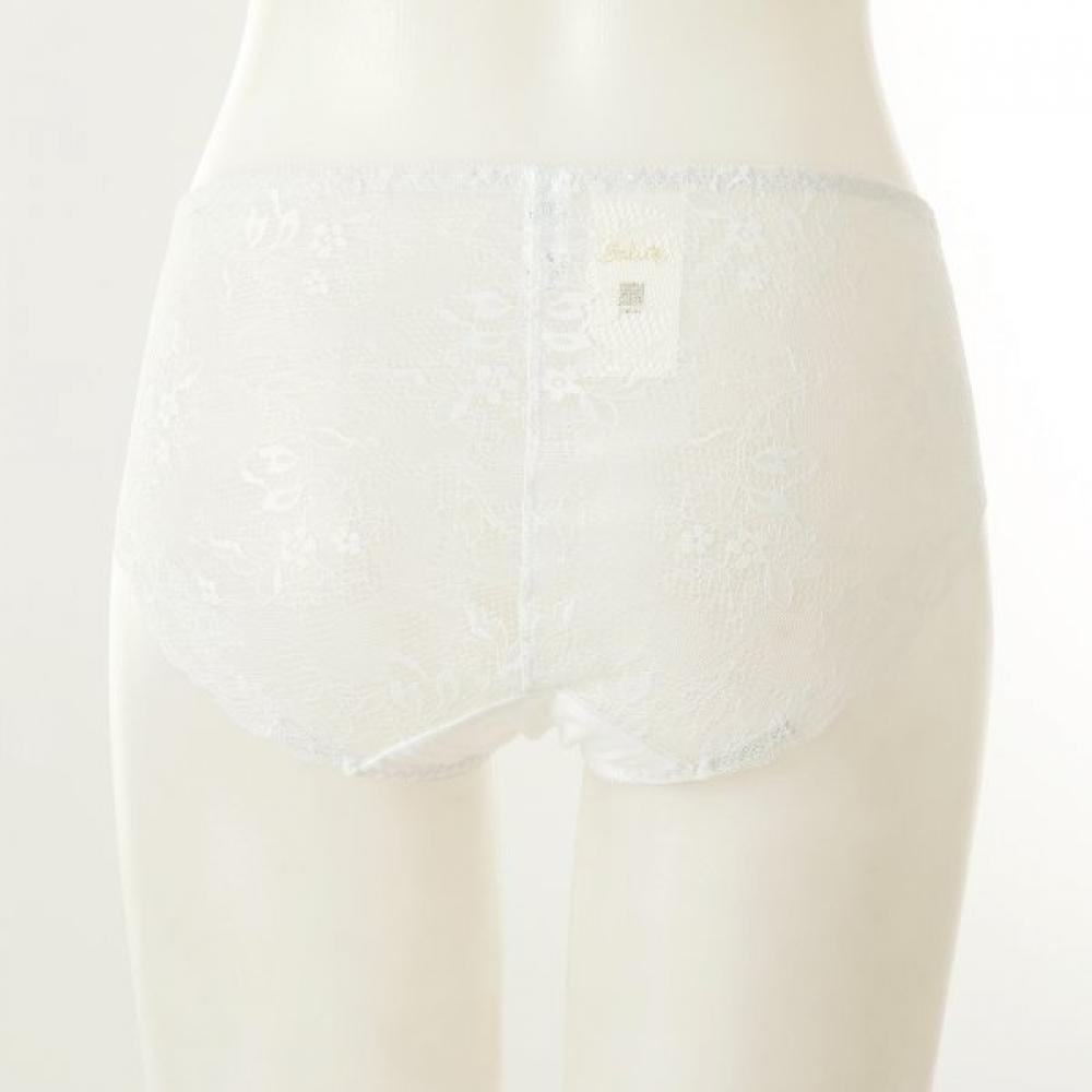 Wacoal Subtle Lace Mesh Panties Dpt0466s