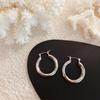 Anna's Influencer Style Metal Hoop Earrings: Simple, Versatile Circle Studs for Women