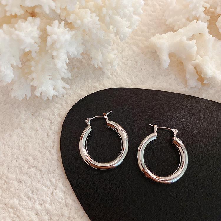 Anna's Influencer Style Metal Hoop Earrings: Simple, Versatile Circle Studs for Women