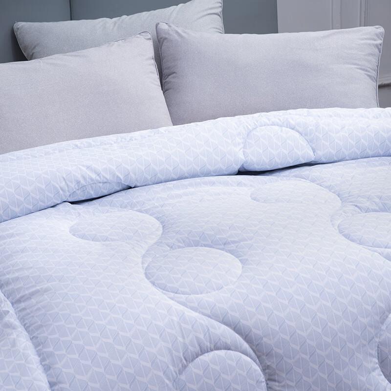 Mercury Home Textiles All-Season Negative Ion White Goose Down Comforter