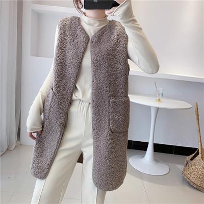 Medium and Long Vest Women's Loose Autumn and Winter Imitation Lamb Wool Vest Fashion New Foreign Versatile Women's Coat Tide