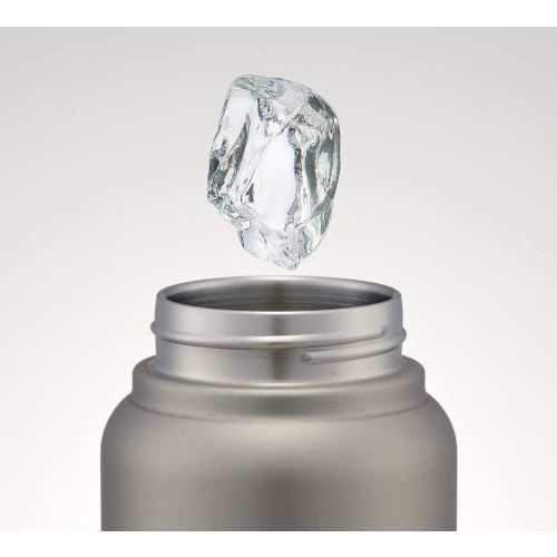 Skater Thermal/Cold Stainless Steel Mug Bottle 800ml with Screw Handle Silver STSC8-A