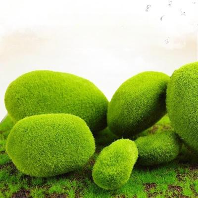 Domácí výzdoba – Dekorativní terária