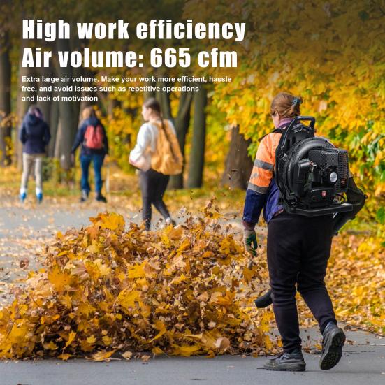 Leaf Blower, 63CC Gas Powered Backpack Blower, 2-Stroke Snow Blower for Lawn Care Yard Dust Debris (Black)