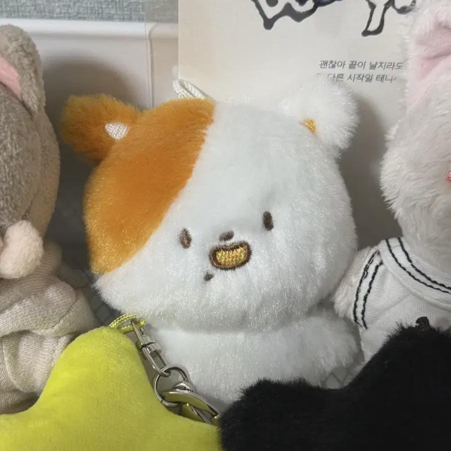 

I Sell The Intelligent Doll Pocket Chi, Ncitdream Nct Dream
