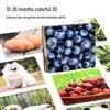 Black & White Early Education Visual Cards for Babies 0-36 Months - Educational Tracking Toys