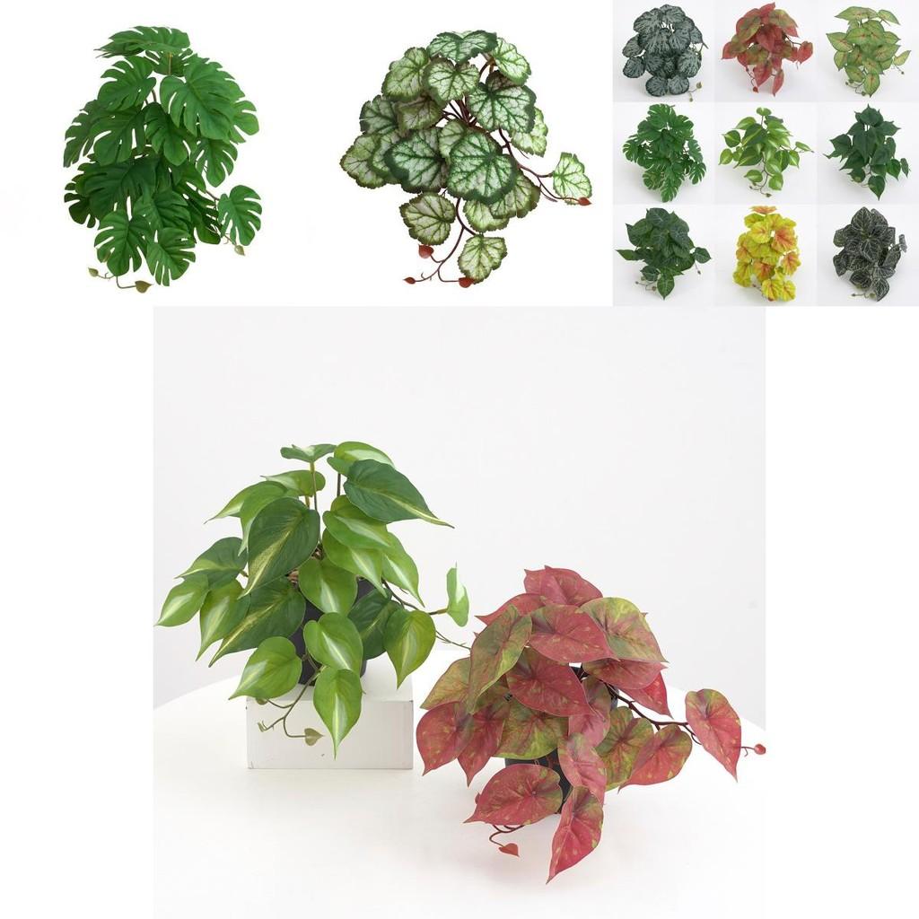 Artificial Green Plant 3d Print Ipomoea Batatas Flower Indoor Wall Art For Home Decor