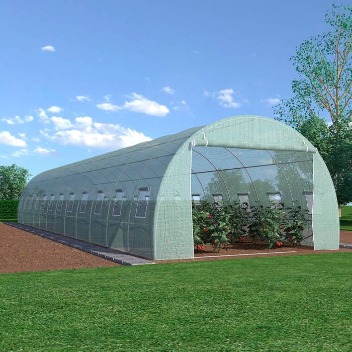 Seră 12x3x2m / Ø26mm / 2 usi
