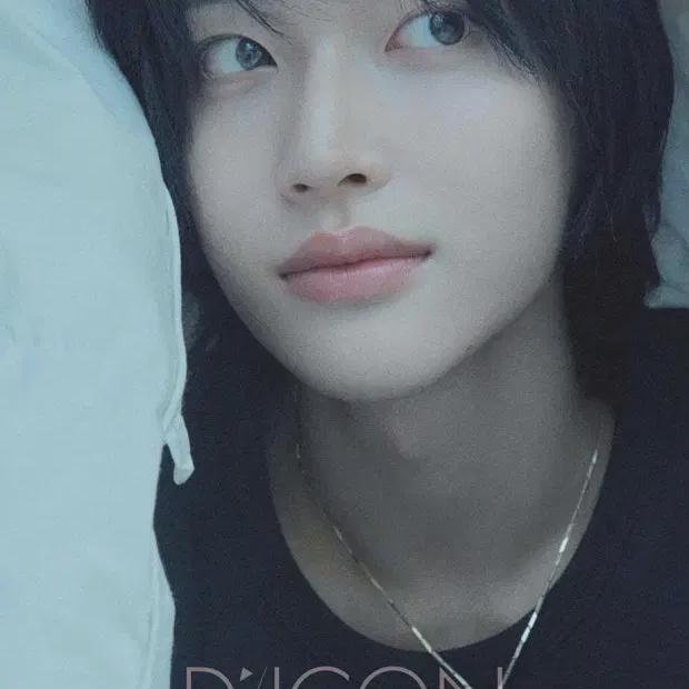 

Rise Riize Вонбин Вонбин D Icon Версия A Запечатанный