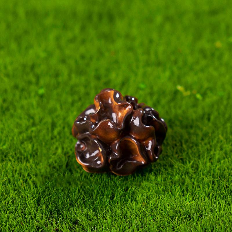 10pcs Mini Ornaments DIY Resin Mushroom Ornaments Cute Simulation Mushroom Black Fungus 11 Styles