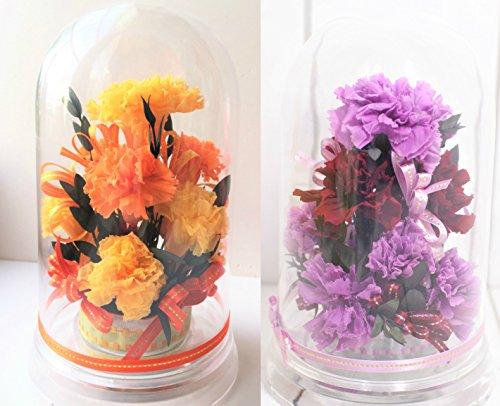 Mother's Day Gifts for Facilities, Get-Well Gifts, Preserved Flowers, Vitamin Colors, Yellow, Orange, Carnations