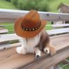 Pet Kitten & Dog Cowboy Hat - Western Style Birthday Party & Festival Mini Hat 
