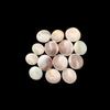 Natural Big Size Beach Sea Shell, Healing Sea Shell Lot, Round Sea Shell Lot, 20 To 30 MM Size Sea Shell.