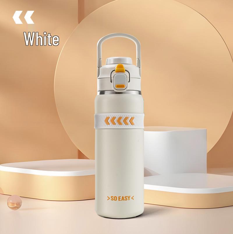 316 Stainless Steel Insulated Sports Water Bottle with Dual Spout and Straw 750ml