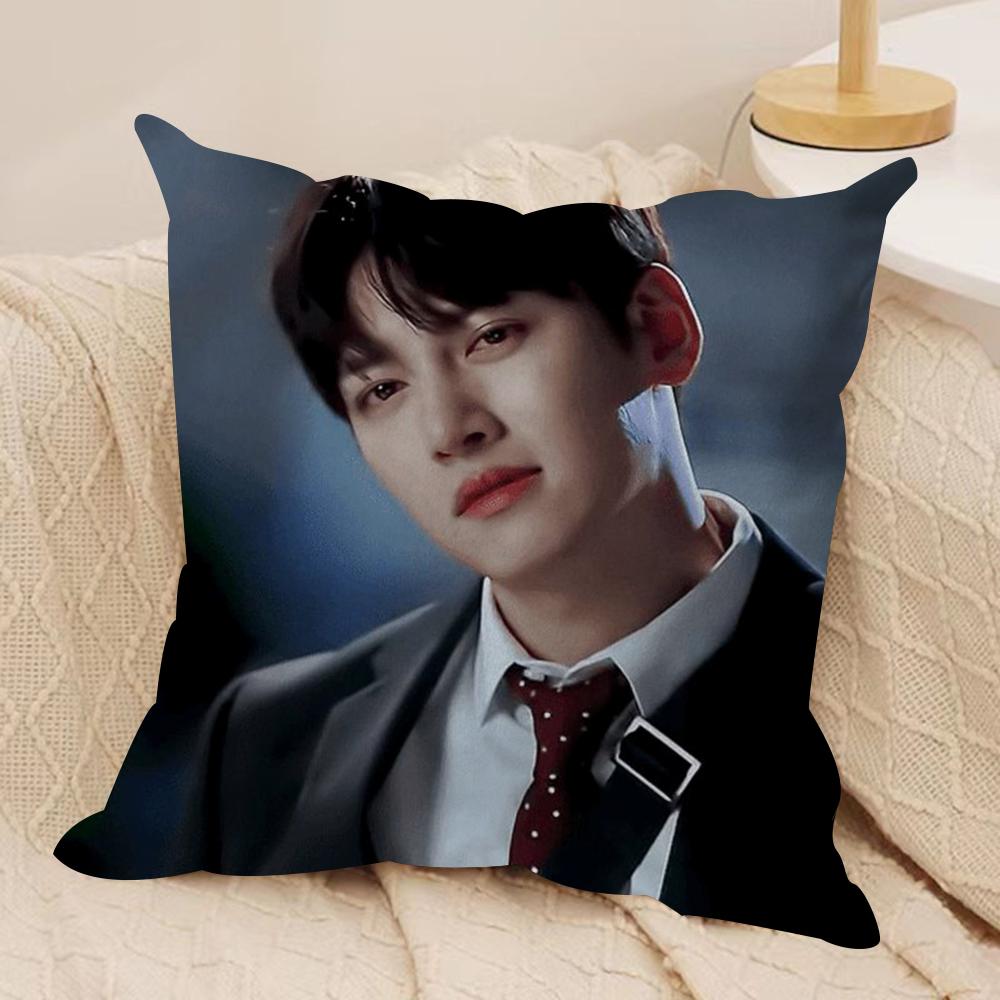 JJi CChang Wook Cushion Cover Silky Short Plush DoubleSided Printed Pillow Case for Sofa All Seasons Home Decor Gift
