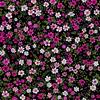 Outdoor Dekostoffe Oxford - Motiv Blumen I Dx5188