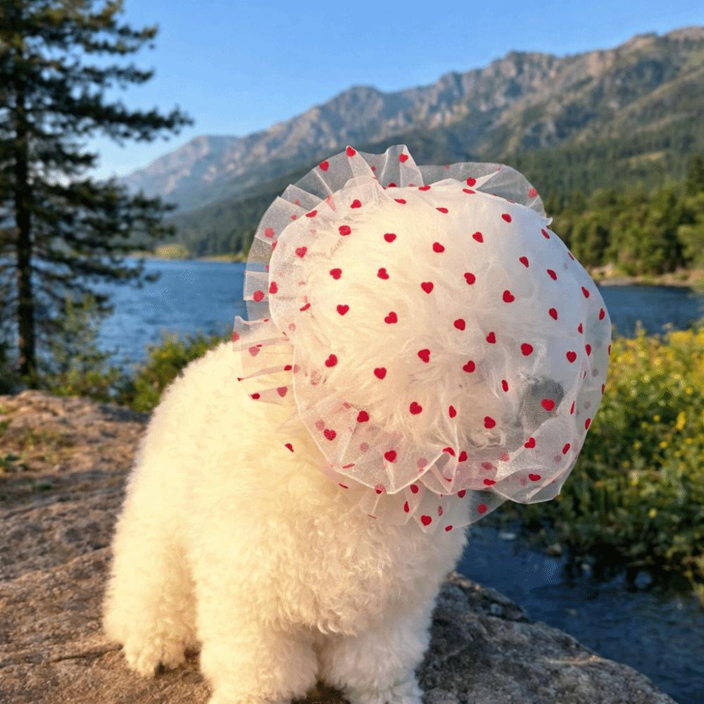 Mesh Pet Anti-Mosquito Headgear Breathable Adjustable Dog Anti Licking Headgear Love/Wave Point Pattern Dog Protective Mask