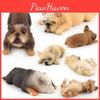 Realistic Pvc French Bulldog Figurine Adorable Sleeping Dog Statue Home Decor
