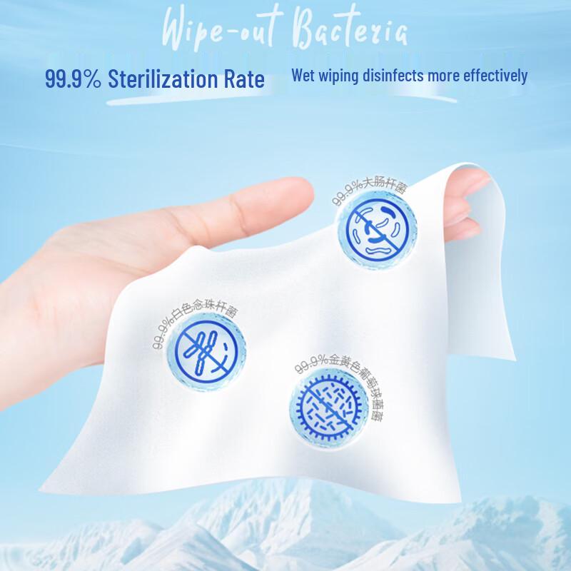 Tempo Pure Water Flushable Wet Wipes