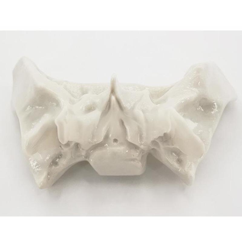 Human Skeleton Anatomical Model Temporal Bone Model Teaching Aid Human Ethmoid Bone Model for Science Class