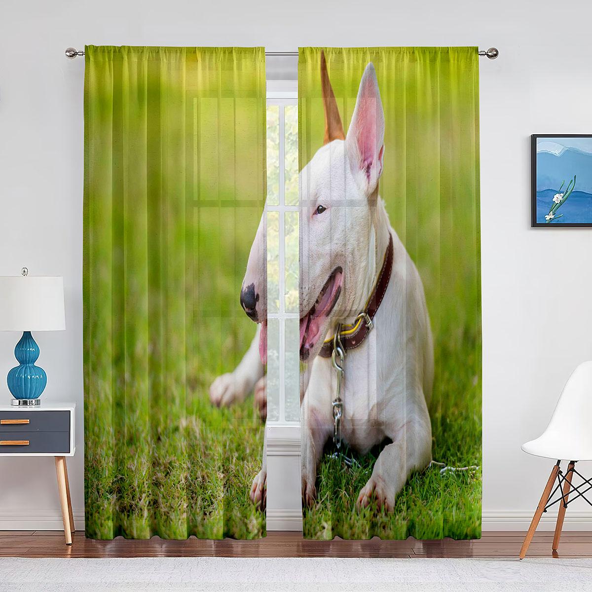 

Тюлевая занавеска с принтом бультерьера и собаки для домашнего декора, декор окна, спальни, кухни, гостиной, современная прозрачная вуаль, шторы 1 PCS W200XH250cm&Grommet Top