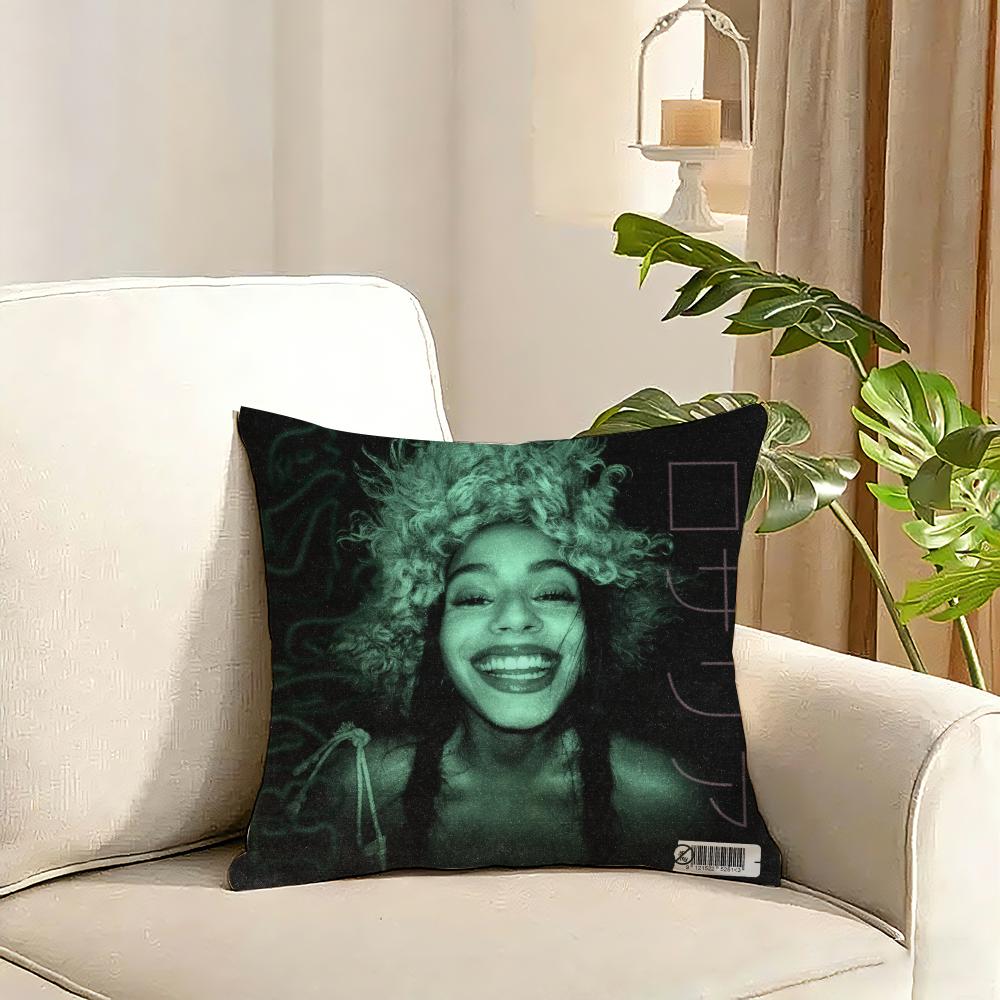 RRosalia singer Cushion Cover Reversible Plush Pillow Cover Soft Fluffy Home Decor for Sofa Bedroom