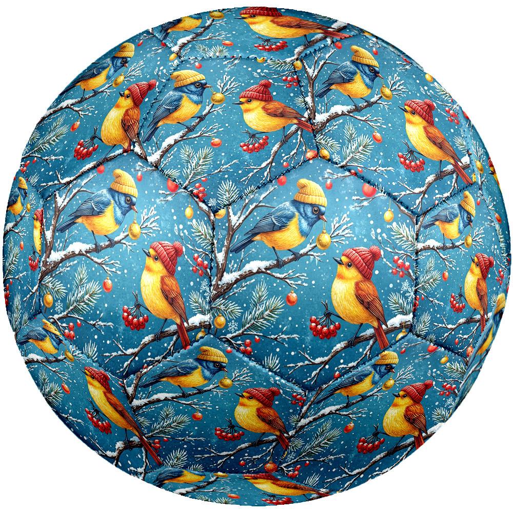1pc Winter Birds Scene Theme Soccer Ball Football, Size 5, Lightweight PVC, Durable Outdoor Training Soccer Ball, Gift m61475