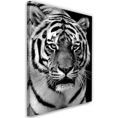 Obraz na plátne, Čiernobiely tiger