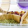 Hamster Toy Natural Wood Arch Bridge Bendable Long Climbing Ladder Small Pet Toy for Guinea Pig Chipmunk