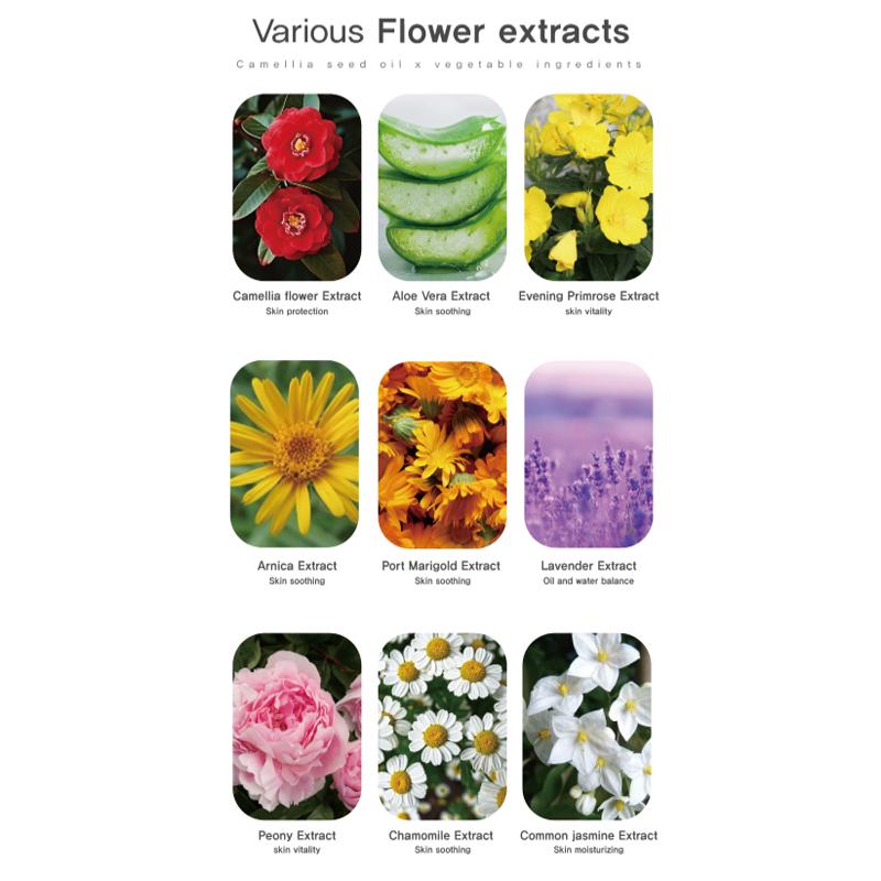 ANJO Camellia Oil High Moisturizing Serum Essence 100ml (3 Options)