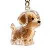 Dog Hair Collector Keychain Dog Shape Charm Keychain Memorial Storage Box Transparent Pet Fur Keepsake Capsule Memorial Gift for Pet Lovers